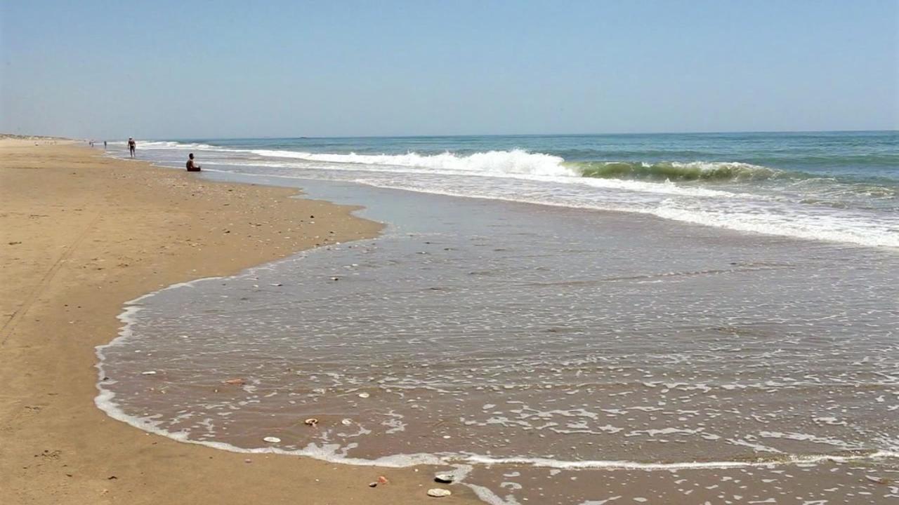 Apartamento Muy Cerca De La Playa *