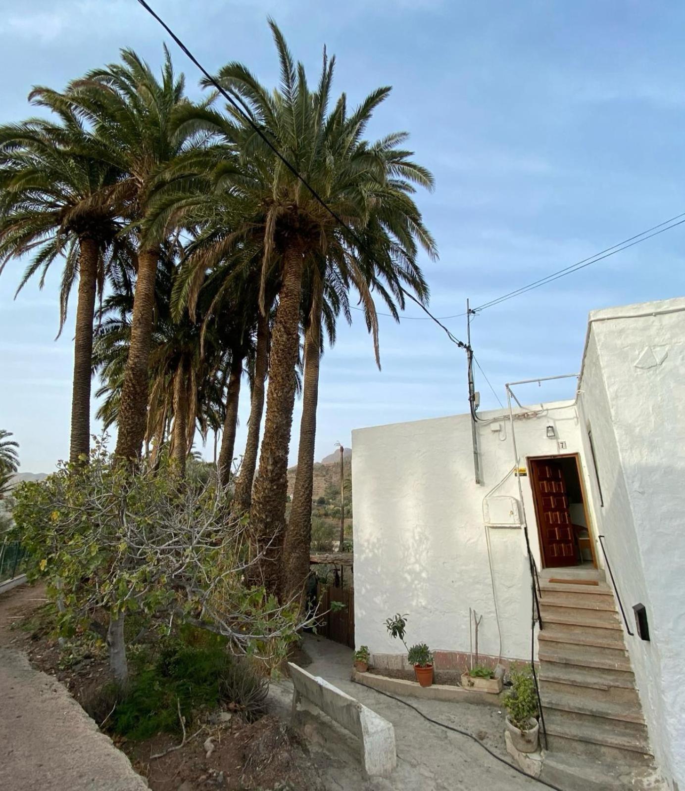 Casa Ansite Apartamento *