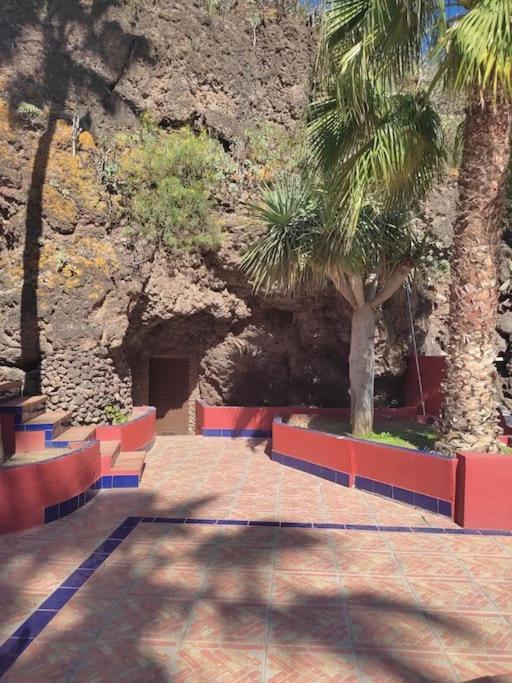Con Piscina * Las Palmas de Gran Canaria