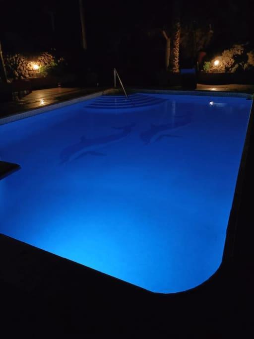 Con Piscina Las Palmas de Gran Canaria
