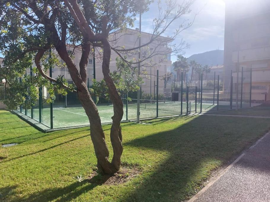 Apartamento Deto Albir