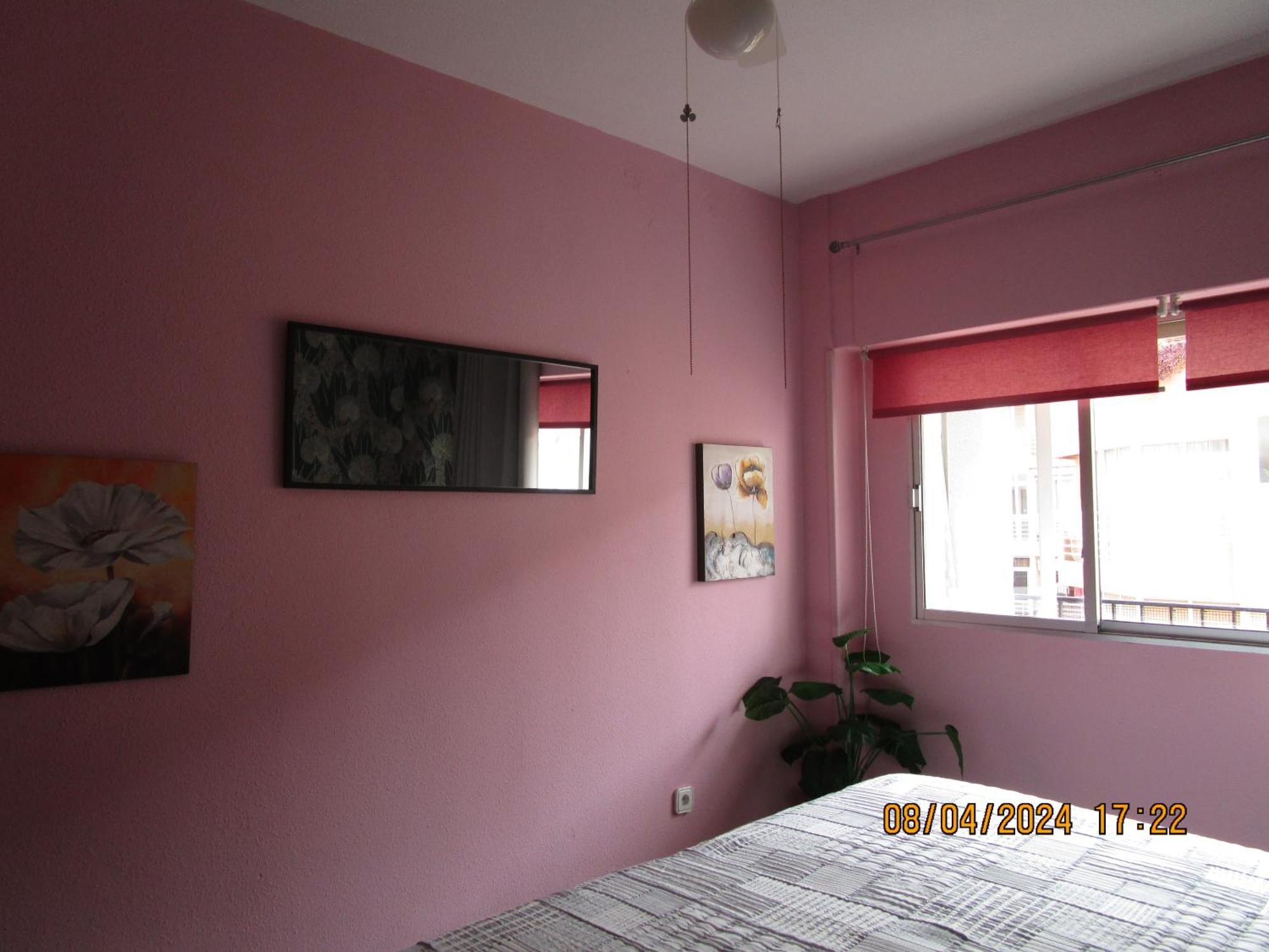 Apartment Rosamar *