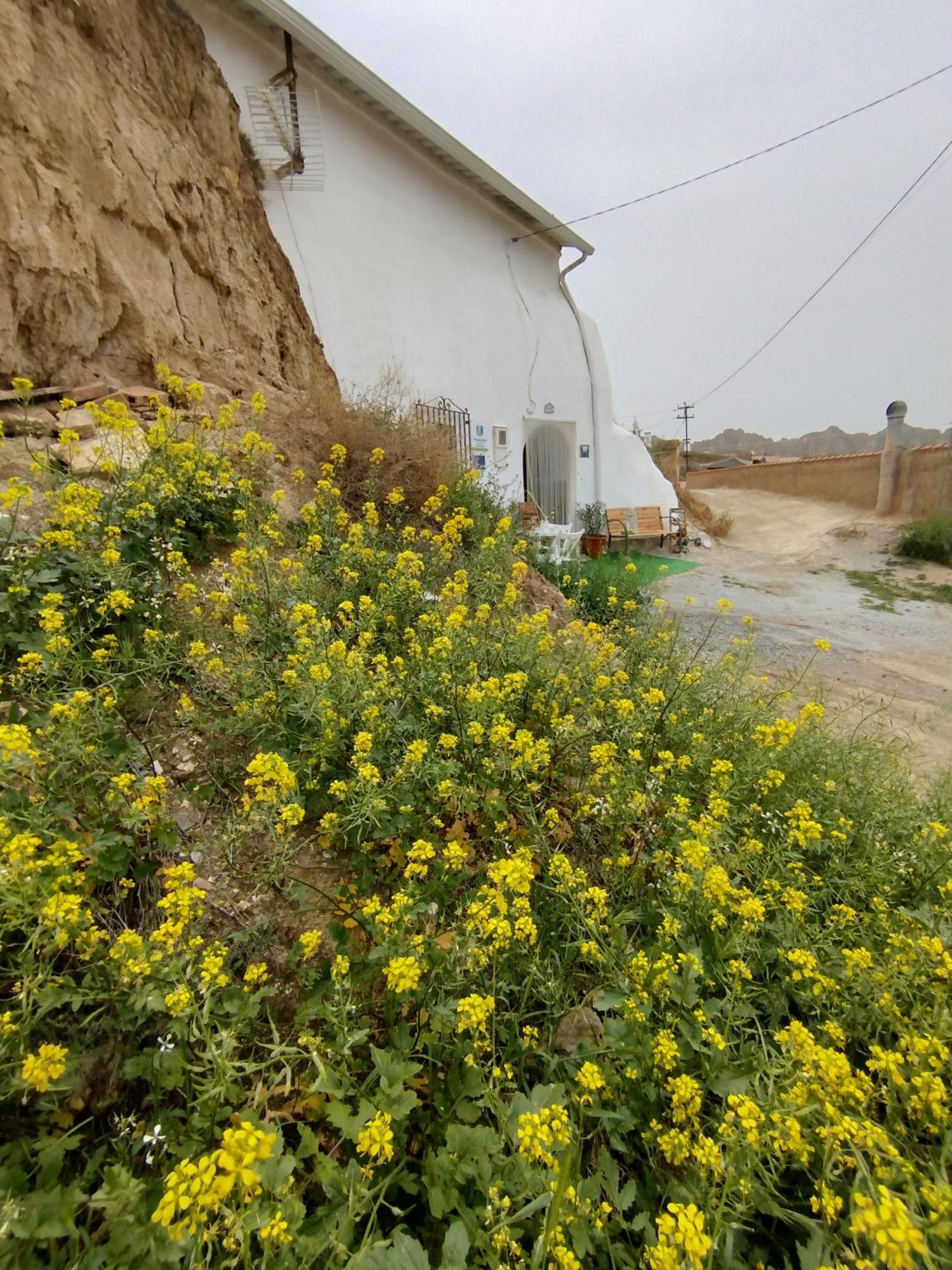 Cueva La Loli Holiday home