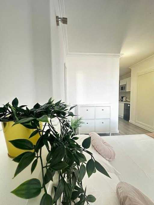 Apartamento Shining Loft At Park Golf San Miguel de Abona