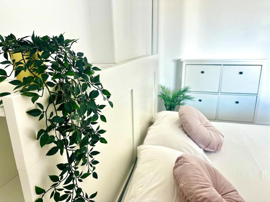 Shining Loft At Park Golf Apartamento San Miguel de Abona