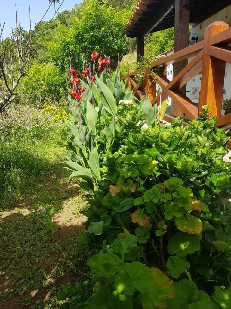 La Gomera Holiday home *