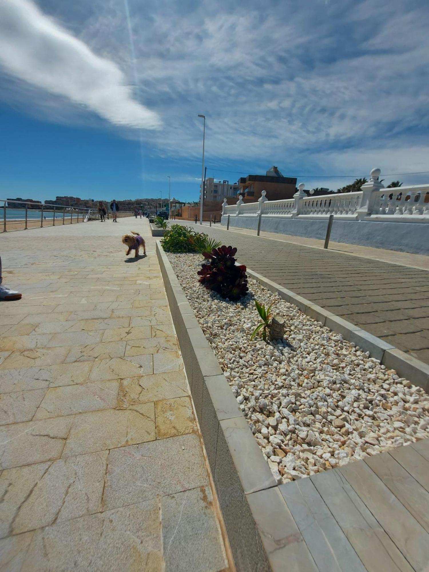 Maravillosa Terraza Con Vistas Al Mar, La Mata Apartment Torrevieja