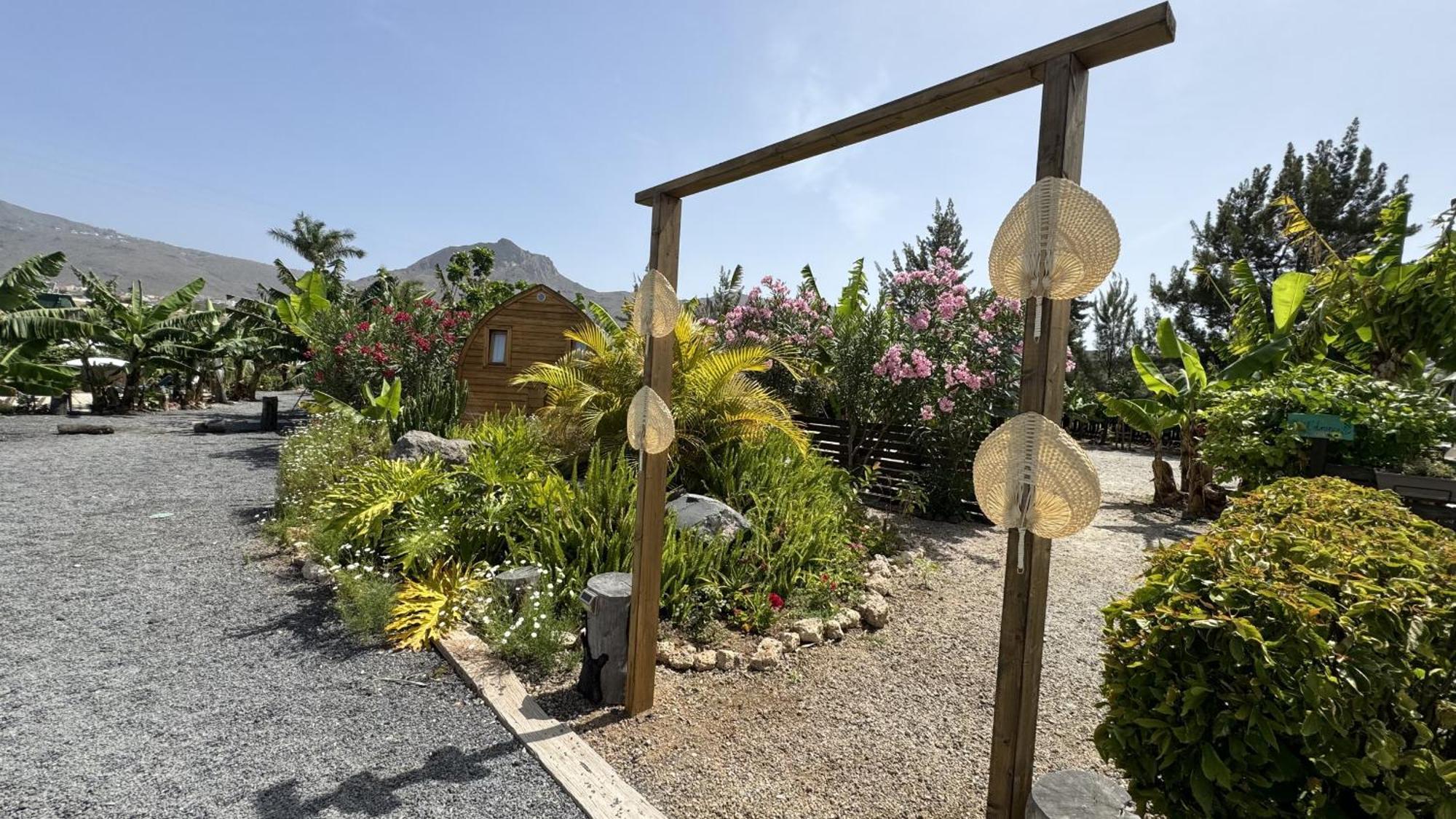 Amani Con Jacuzzi Piscina Y Naturaleza Holiday home Buzanada