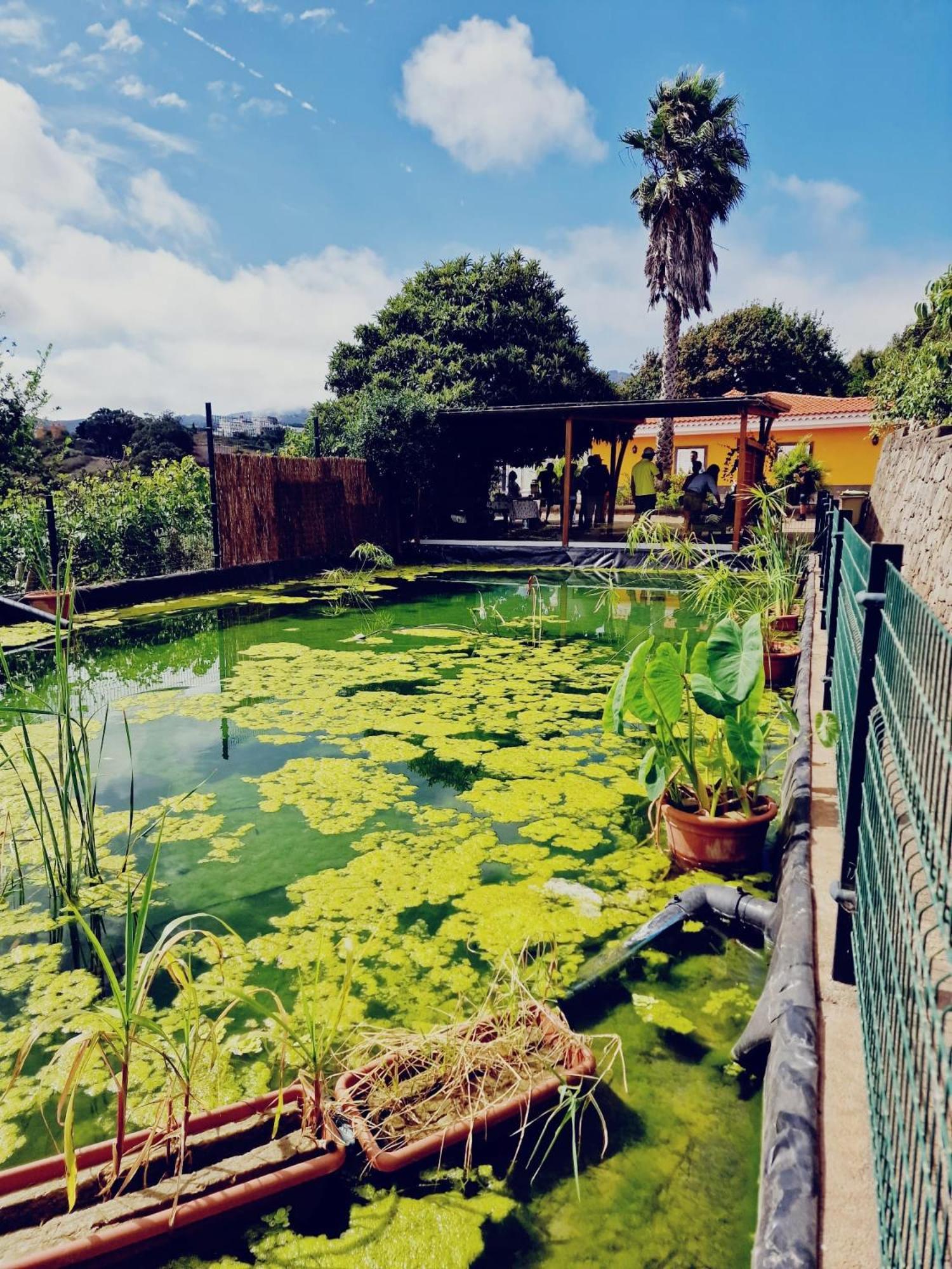 Ecofinca Selva Doramas Villa *