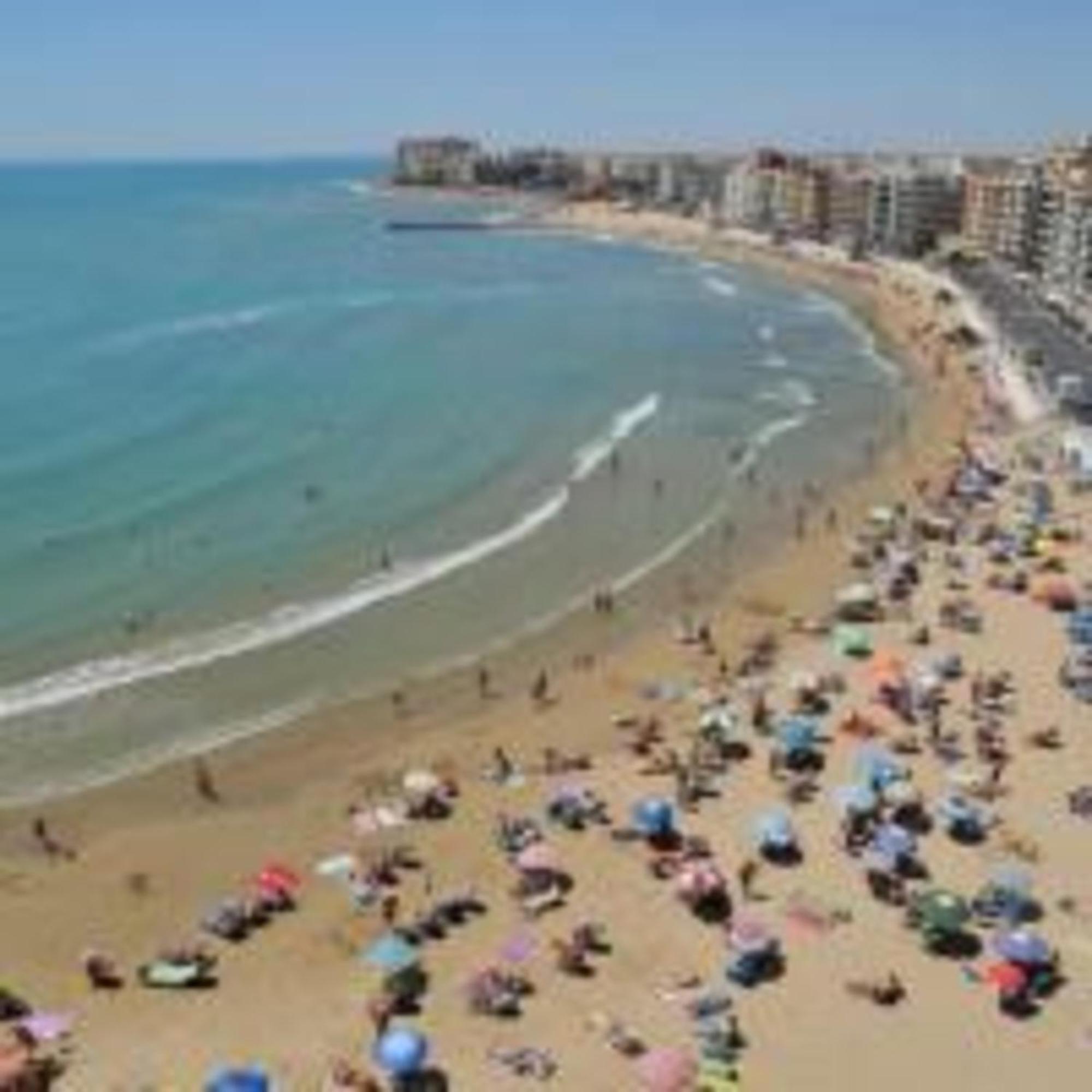 Pmt16 - Large On The Apartment Torrevieja