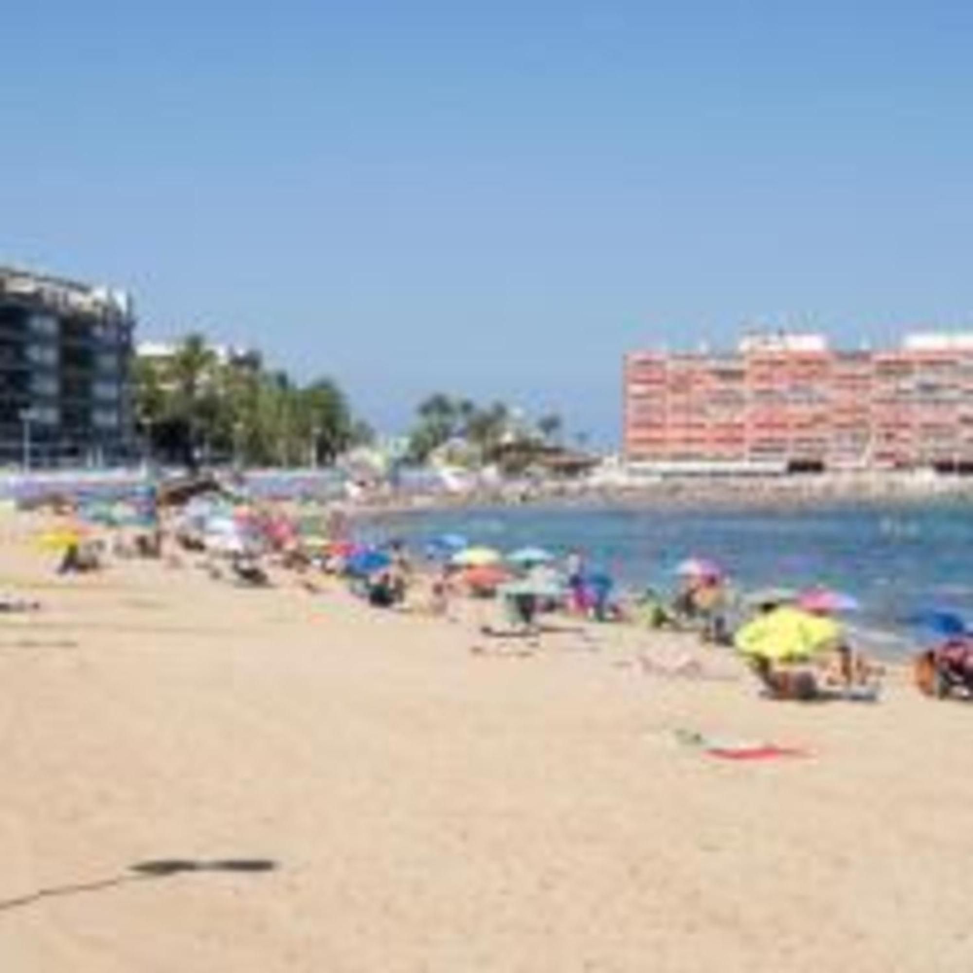 Pmt16 - Large On The Torrevieja