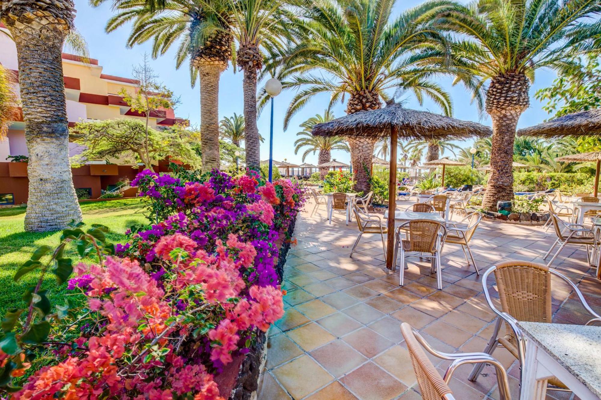 Sbh Fuerteventura Playa (adults Only)