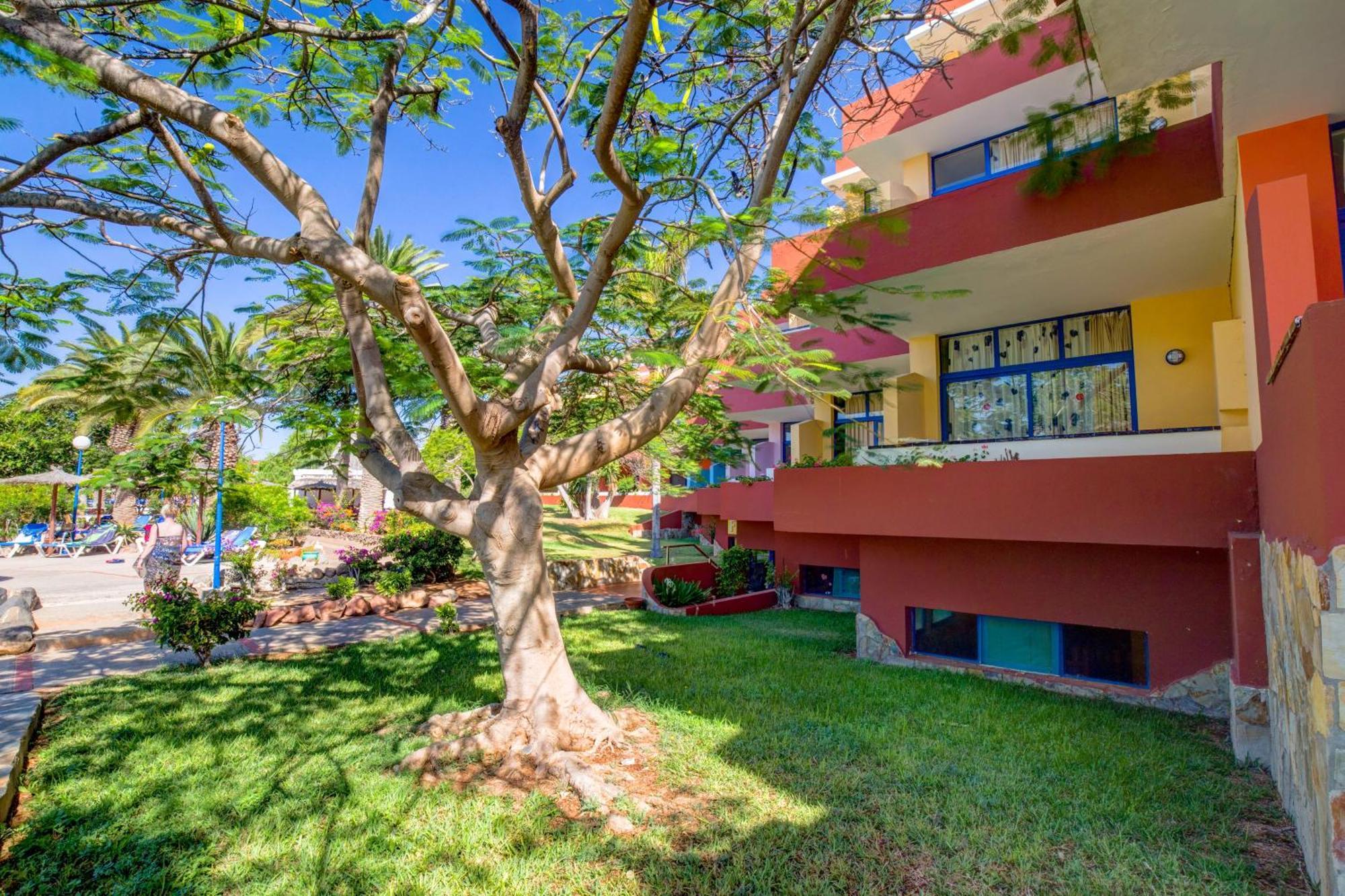 Hotel Sbh Fuerteventura Playa (adults Only) Costa Calma
