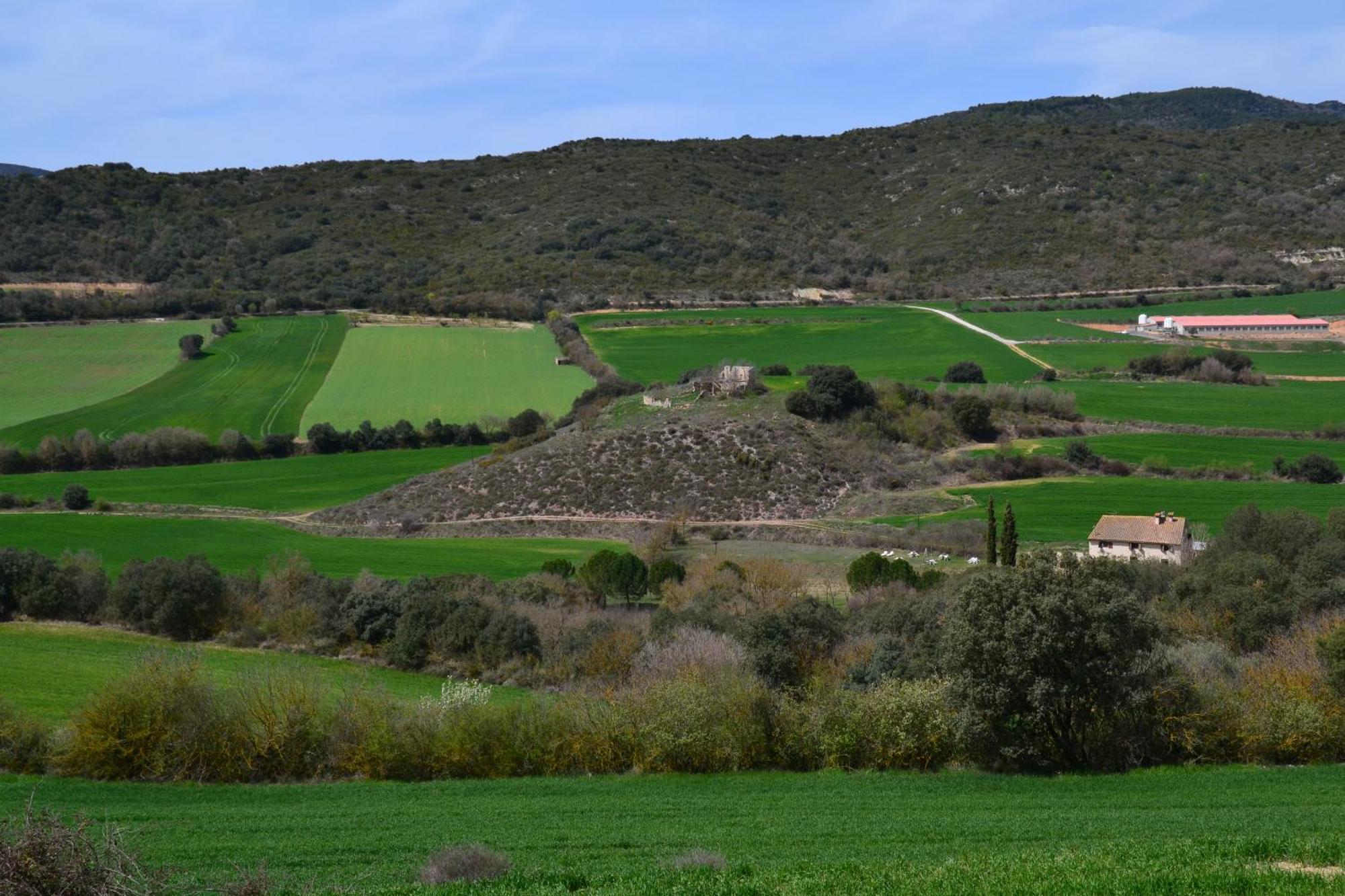 Bed & Breakfast Masia Moli De