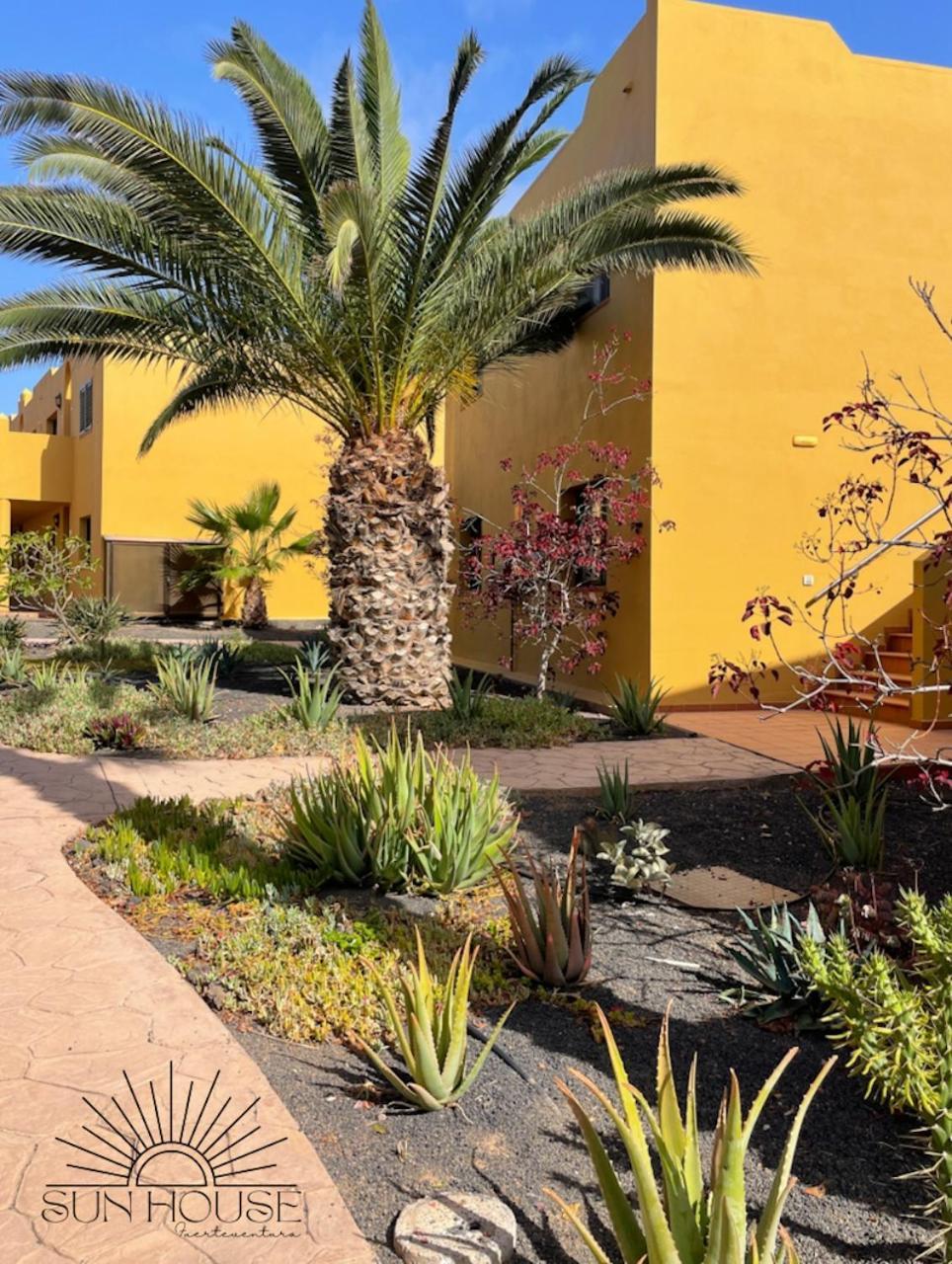 Sun House Apartamento Corralejo