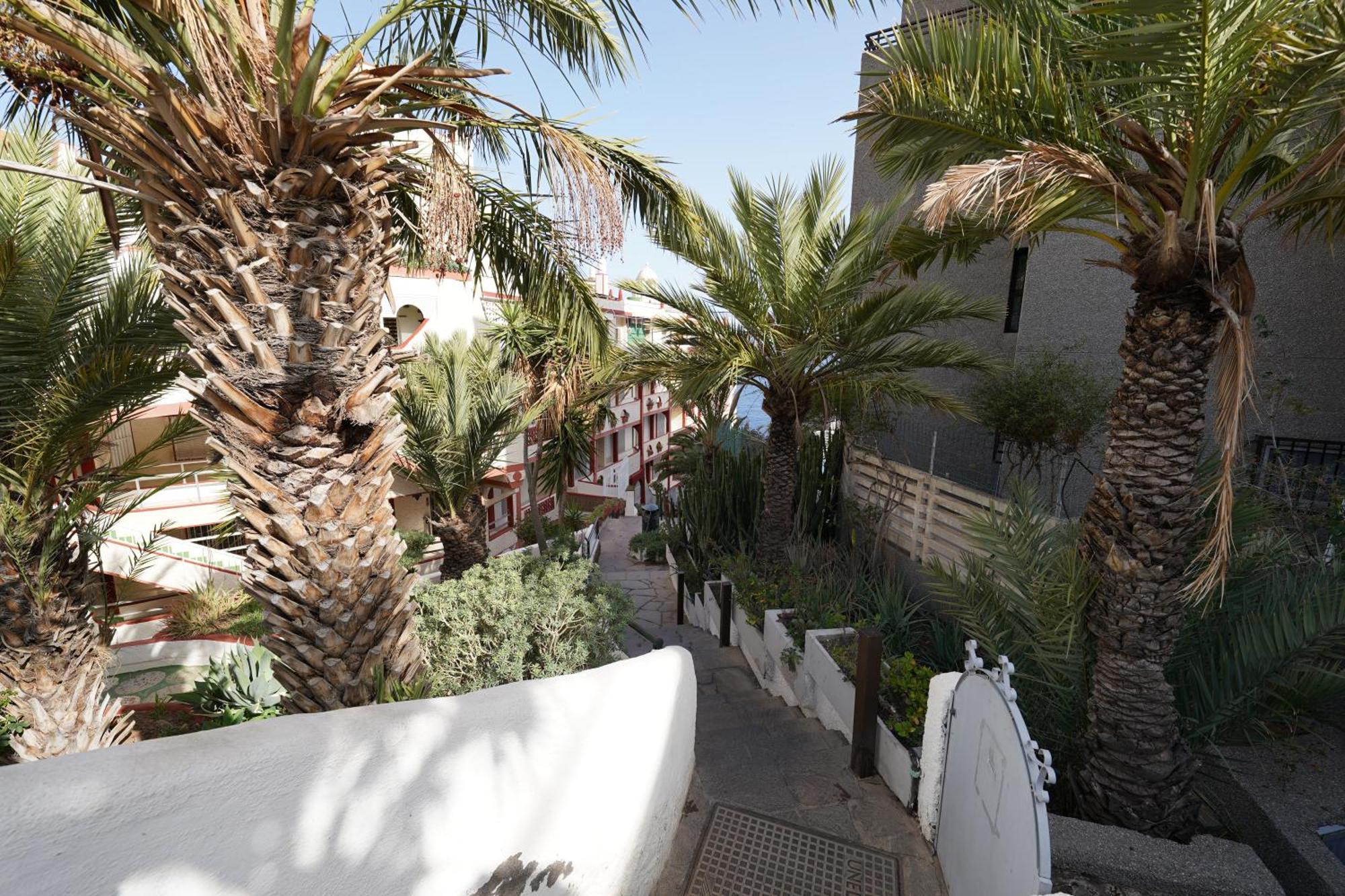 Ocean View First Sea Line Apartment Tabaiba