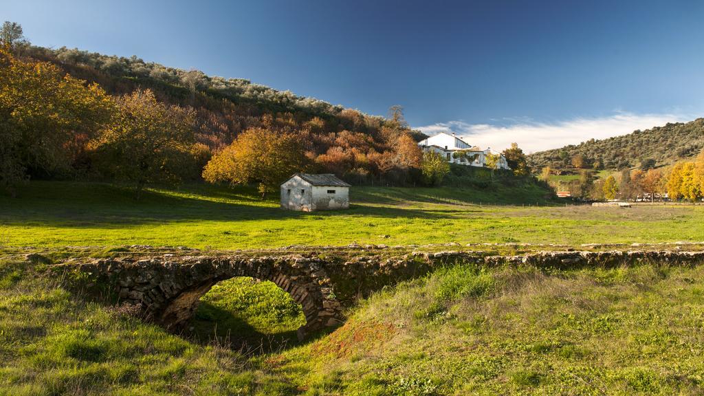 Pozos De La Nieve *
