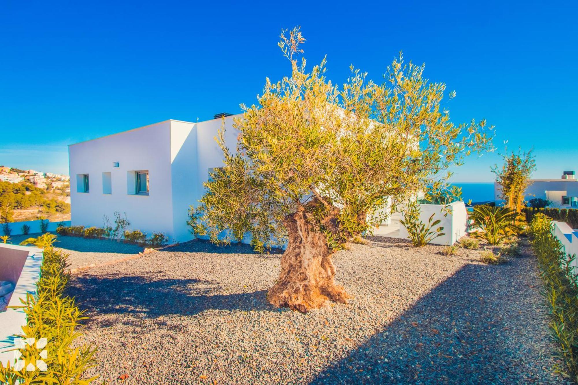 Villa Abahana Nevis *
