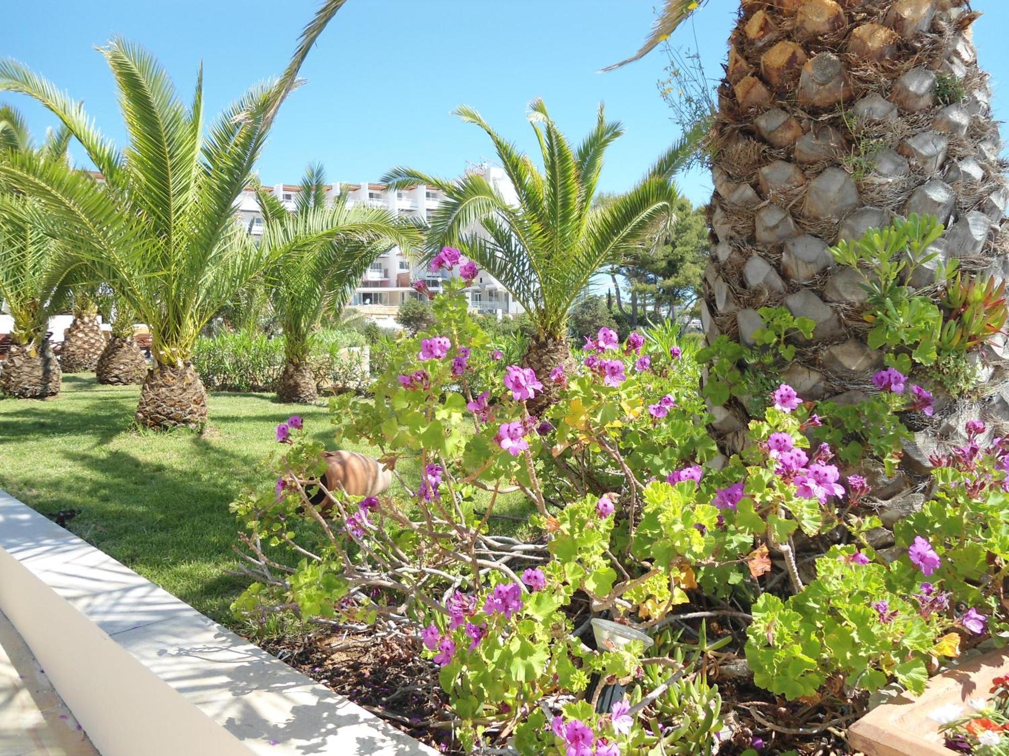 Grand Palladium Santa Eulalia del Río