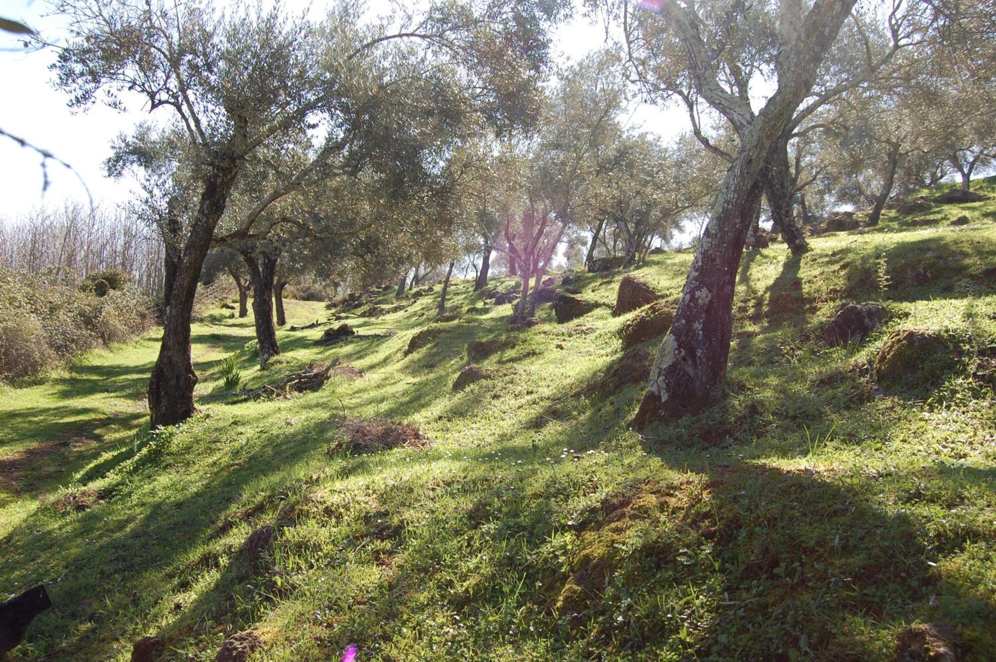 Pozos De La Nieve