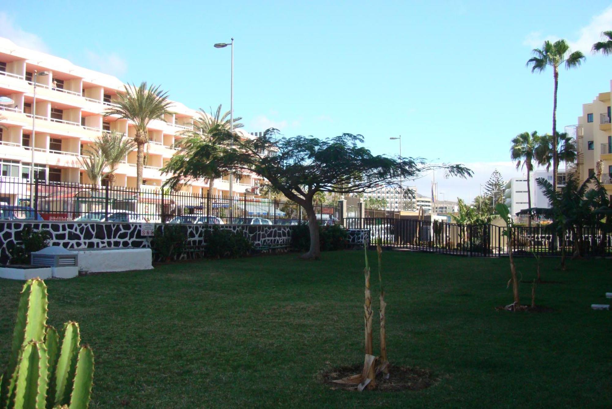 Apartamento Cactus