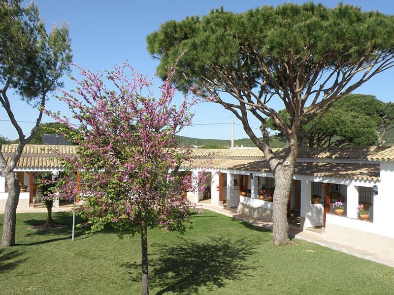 Acacias