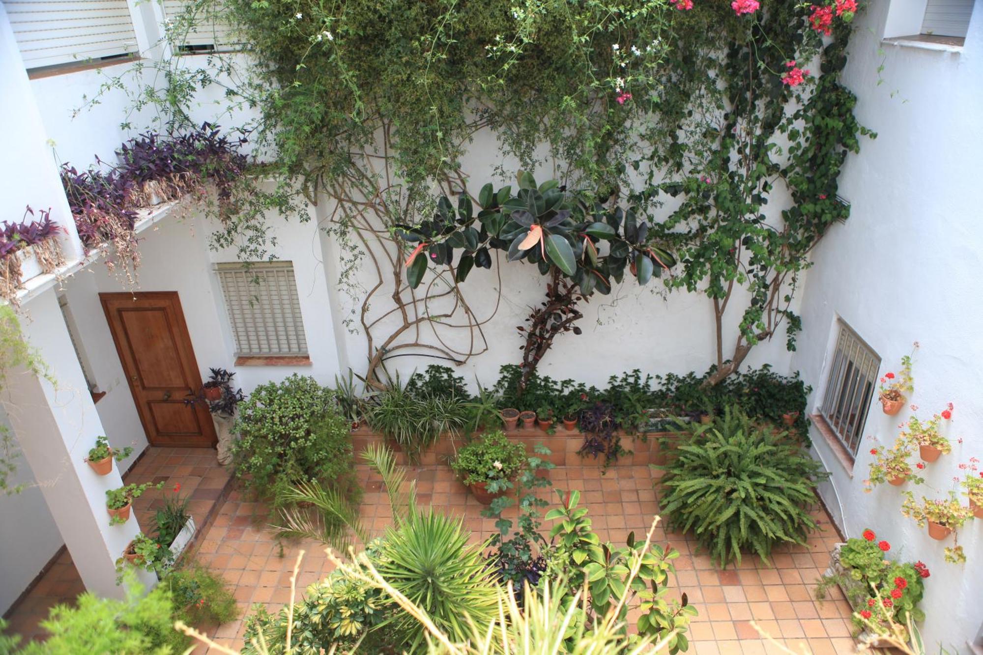 El Coloso