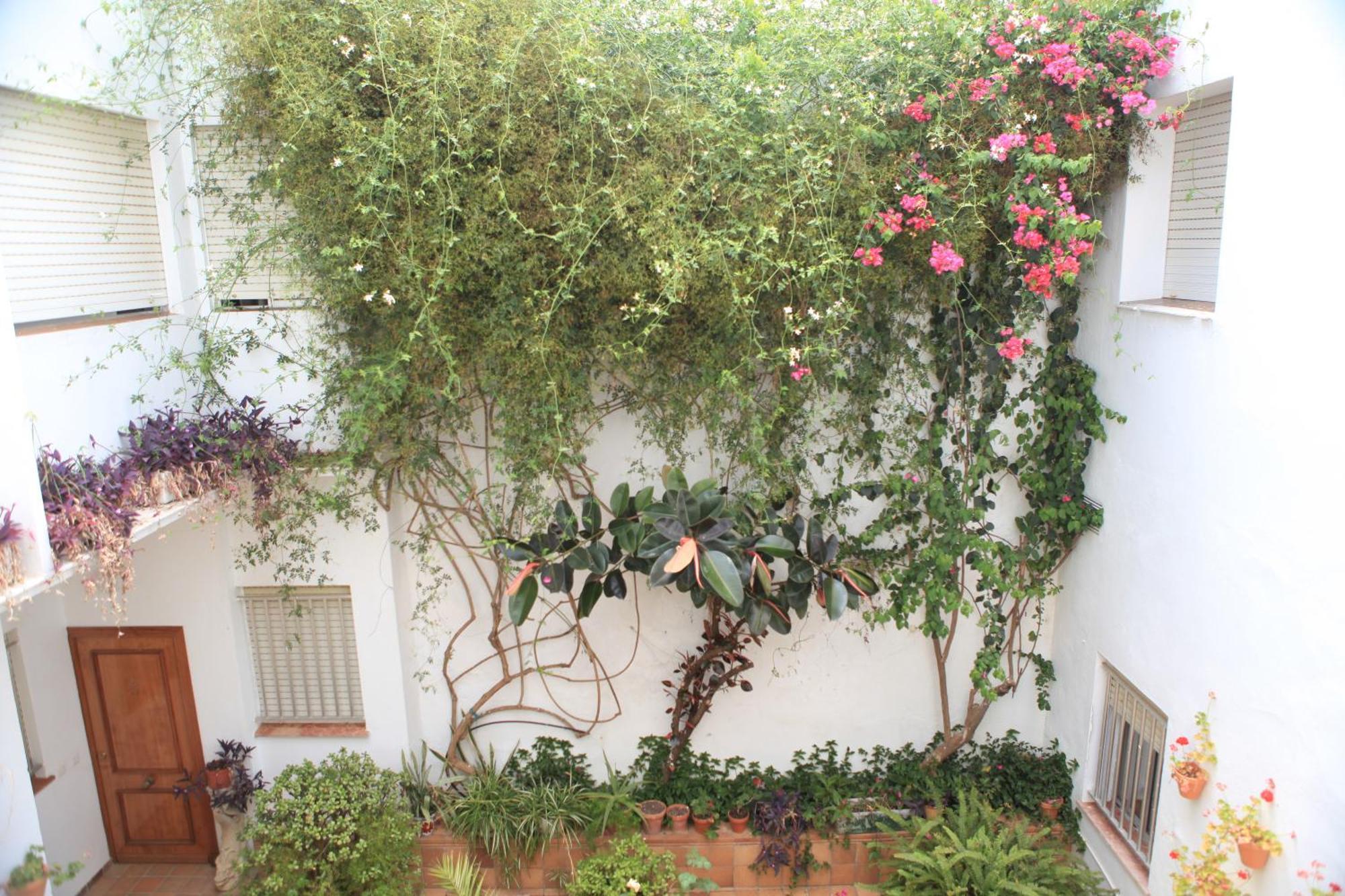 El Coloso Jerez de la Frontera