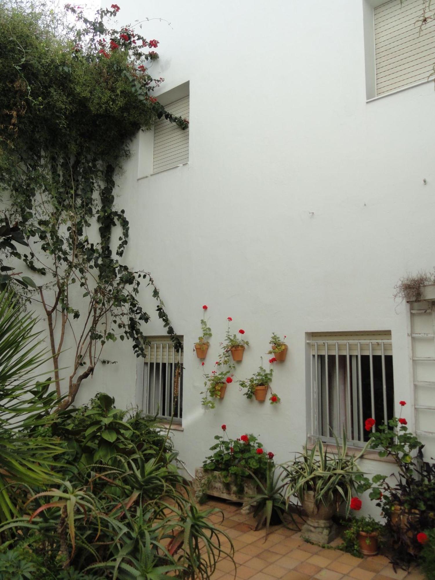 El Coloso