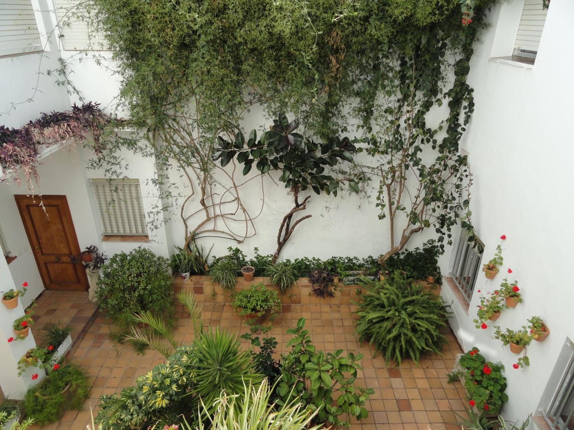 Hotel El Coloso