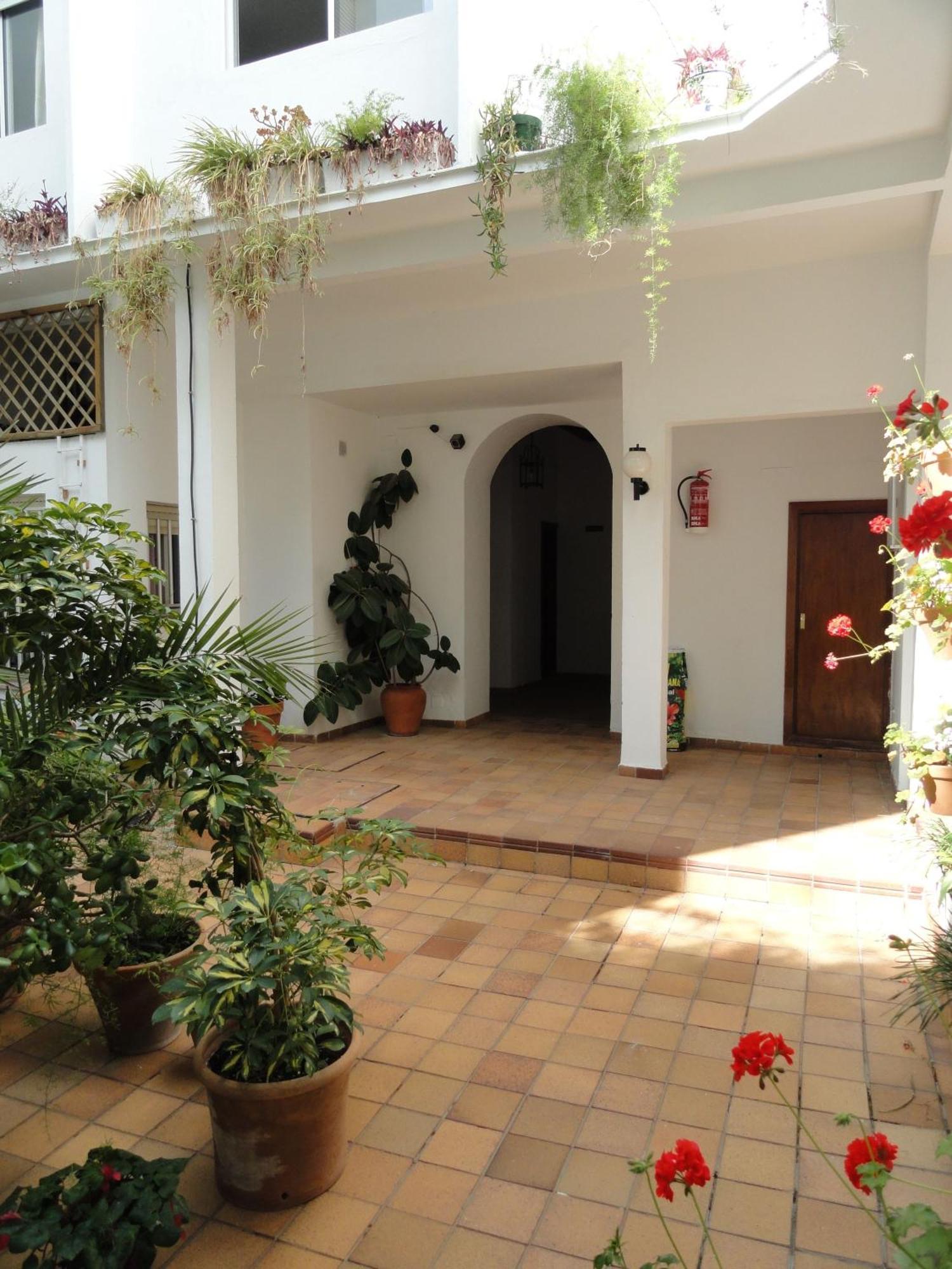 El Coloso