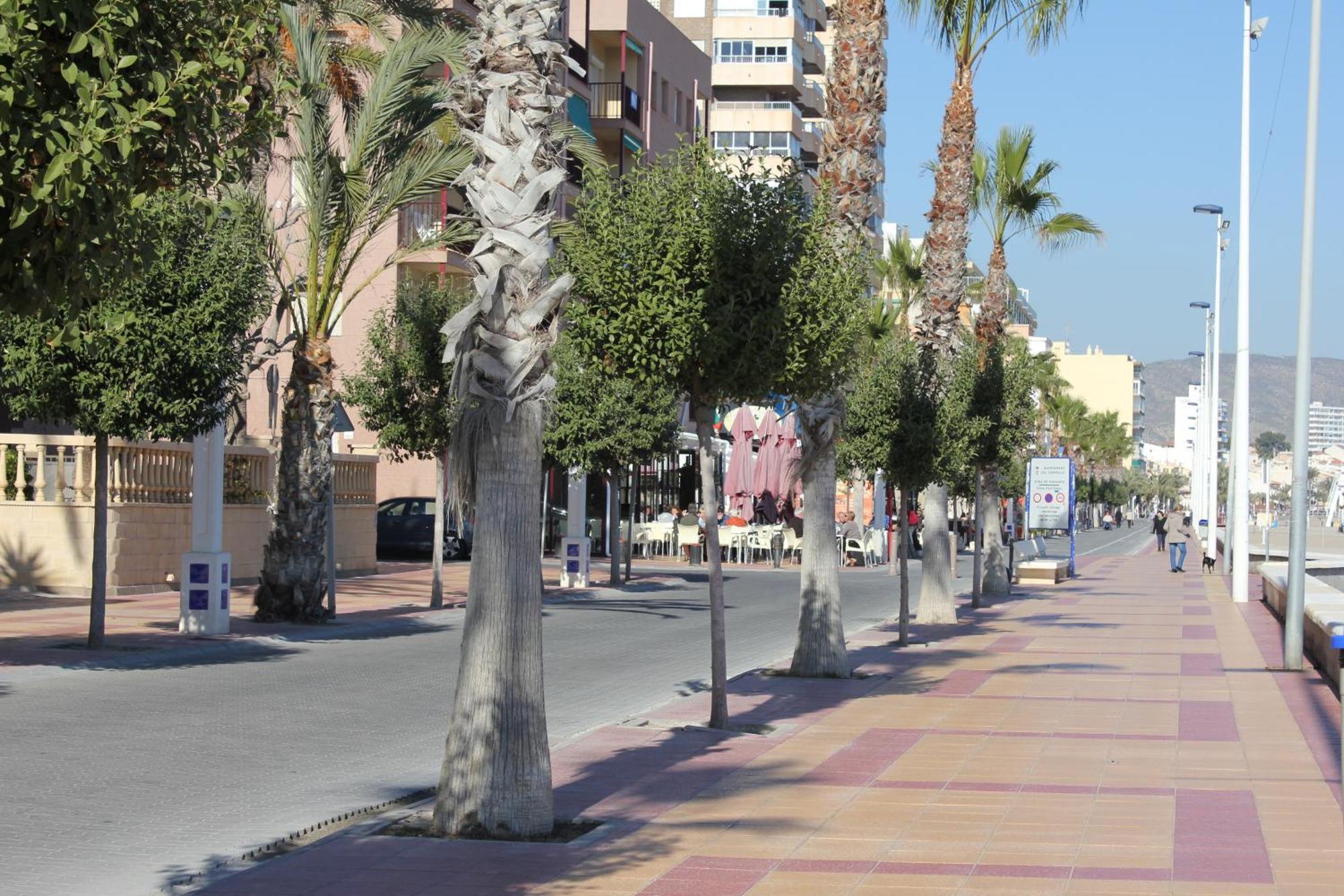Congo El Campello