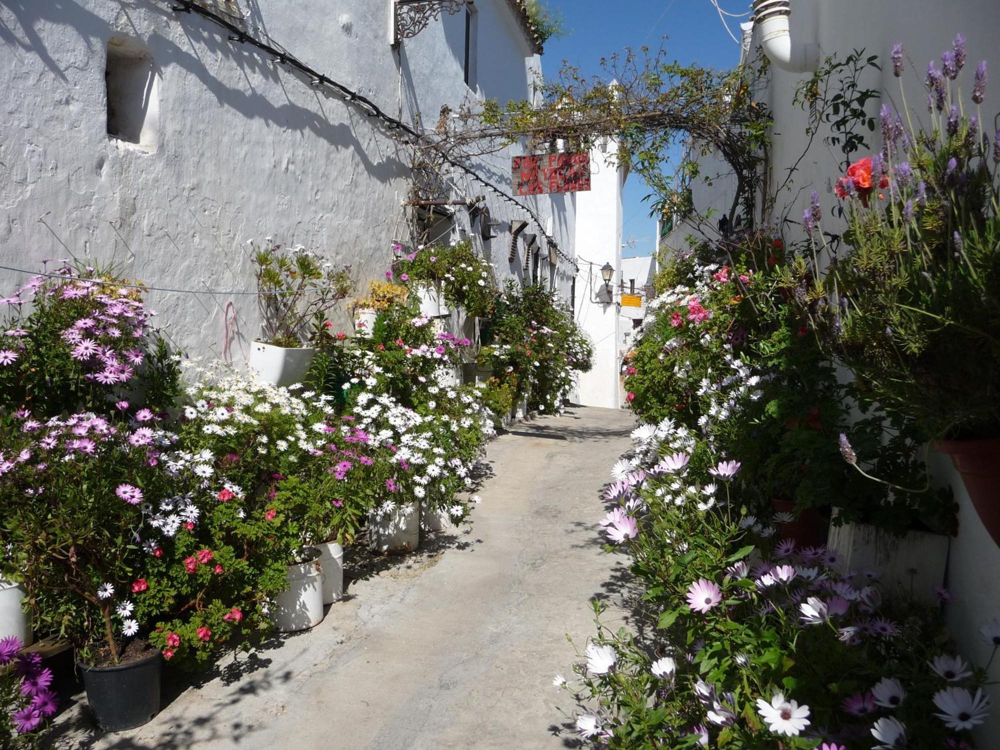 Vivienda De Rural Casa Naty