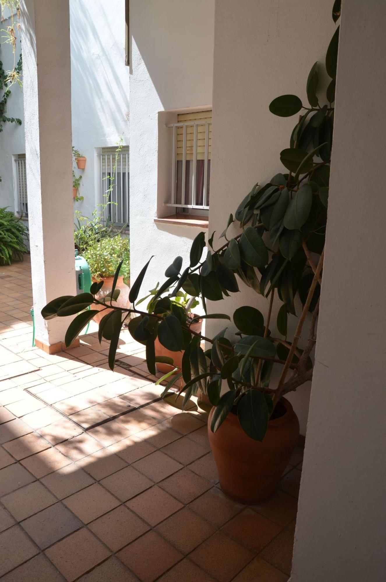 Hotel El Coloso 2*
