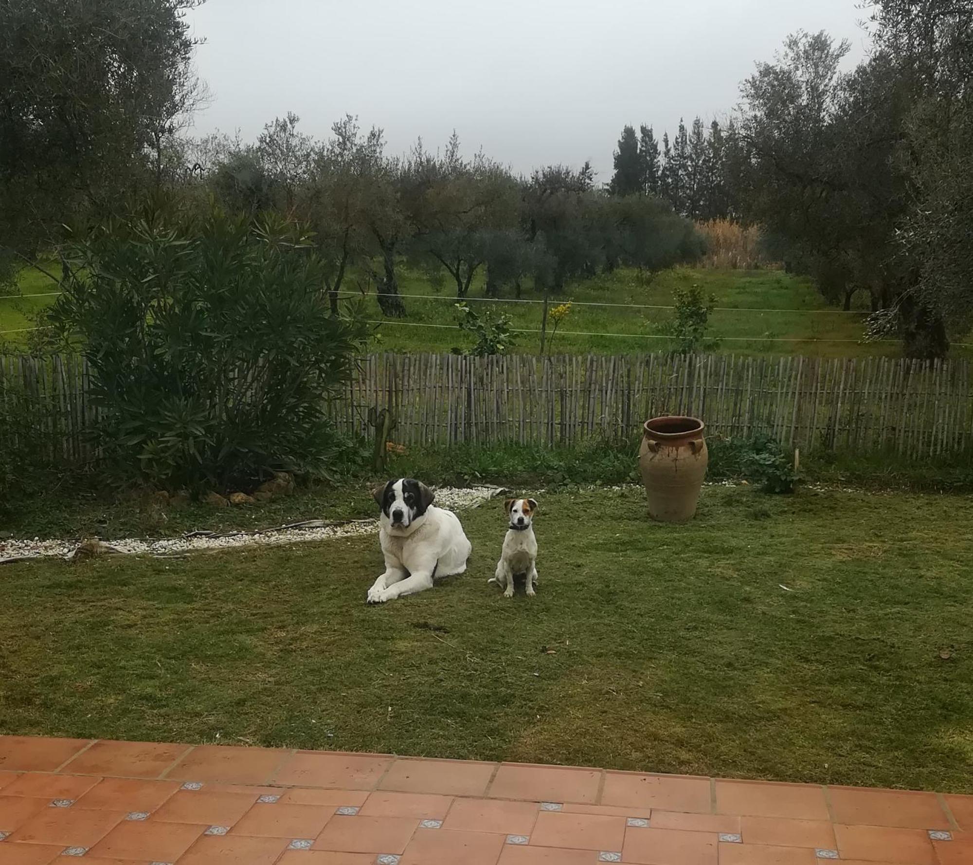 Agroturismo Casa Halcon *