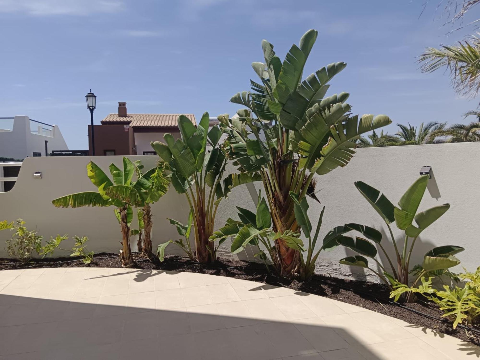 Apartment Homeforguest Flat With Large Terrace In Modern Residential Complex With Swimming Pool Caleta De Fuste