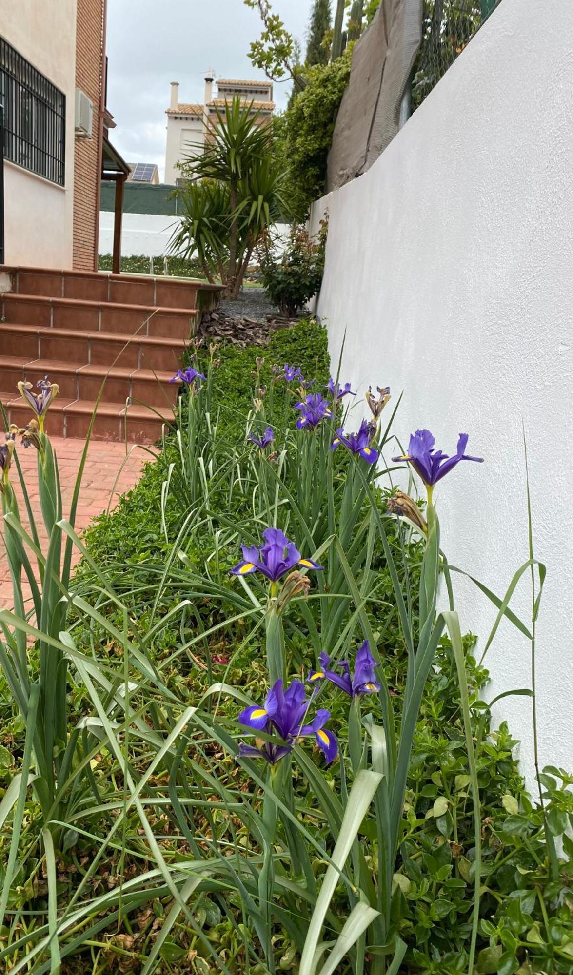 Сasa de vacaciones Casa , Dilar, Granada Con Jardin Y Piscina