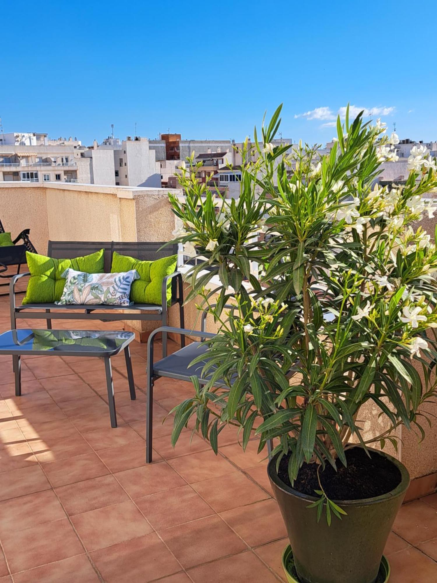 Atico Roof Torrevieja