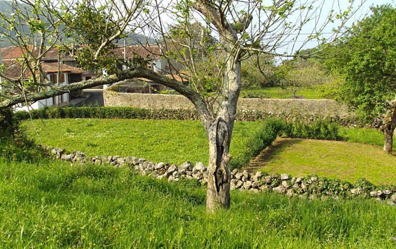 Holiday home San Juan De Duz, *