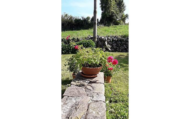 Holiday home San Juan De Duz,