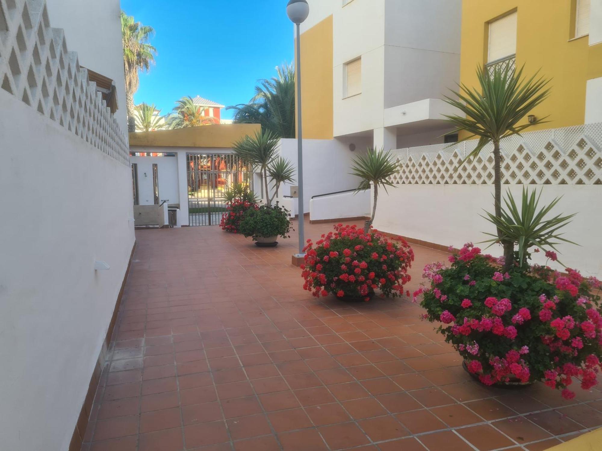 Apartamento Playa Y Golf *