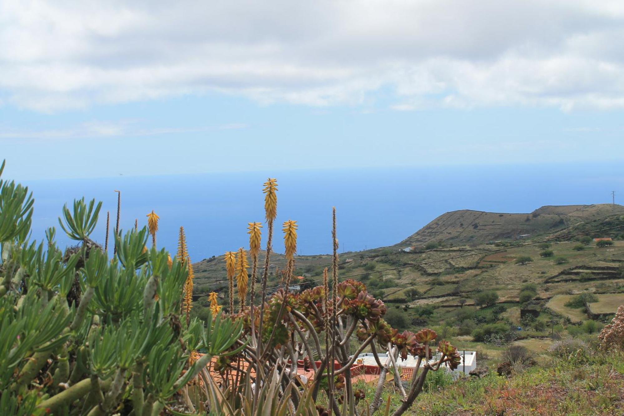 Casa Abuelos El Pinar de El Hierro