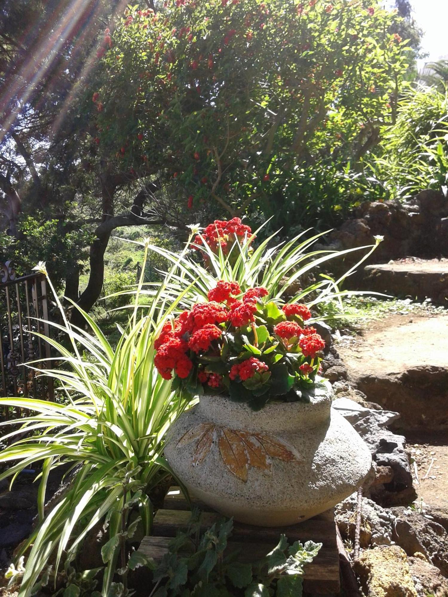 Casa Roberta Holiday home *