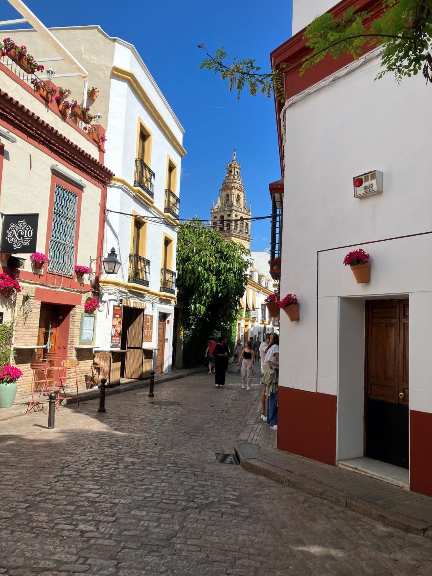 Precioso Junto A La Mezquita Apartamento *