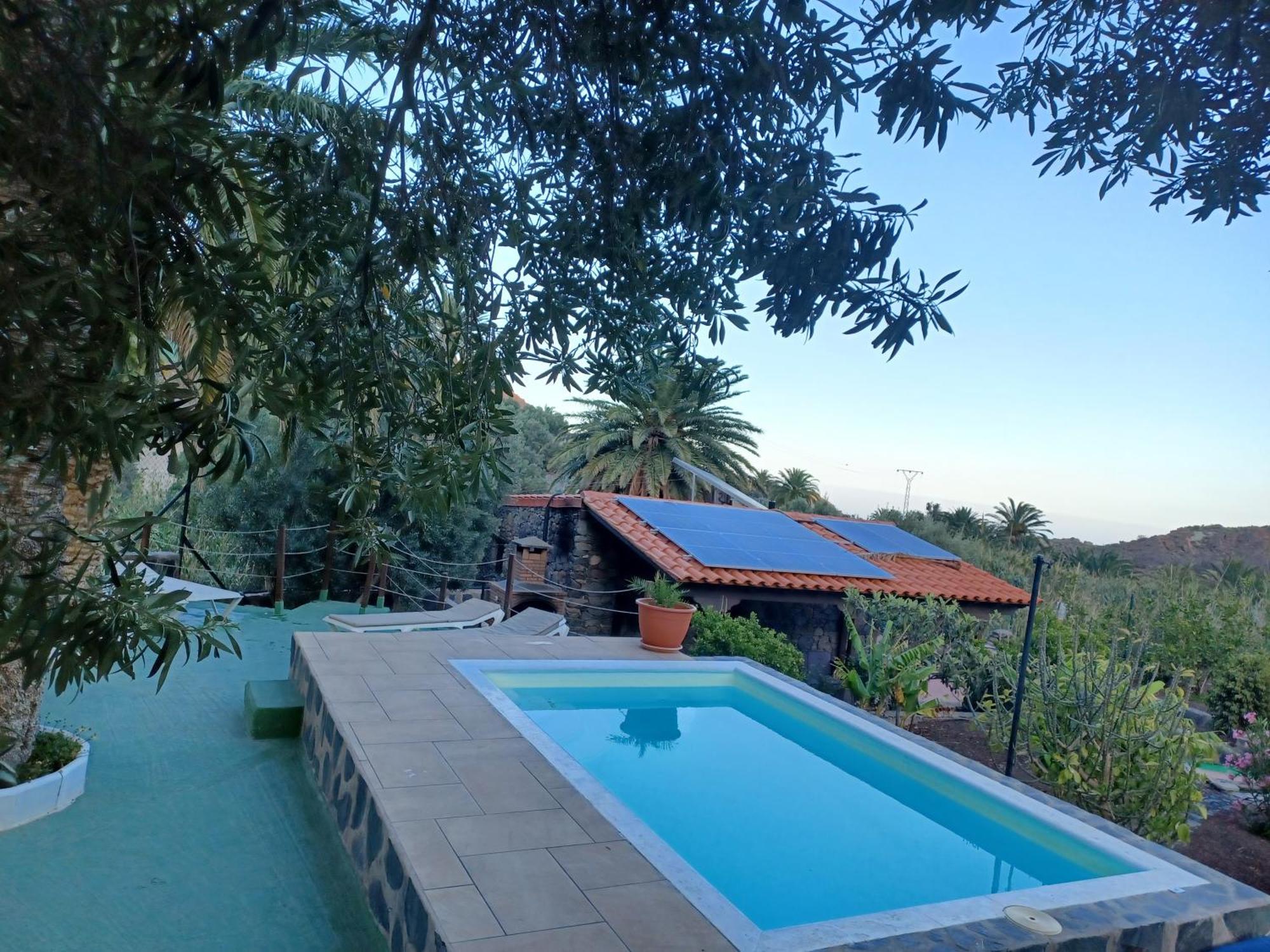 Palmeras Сasa de vacaciones