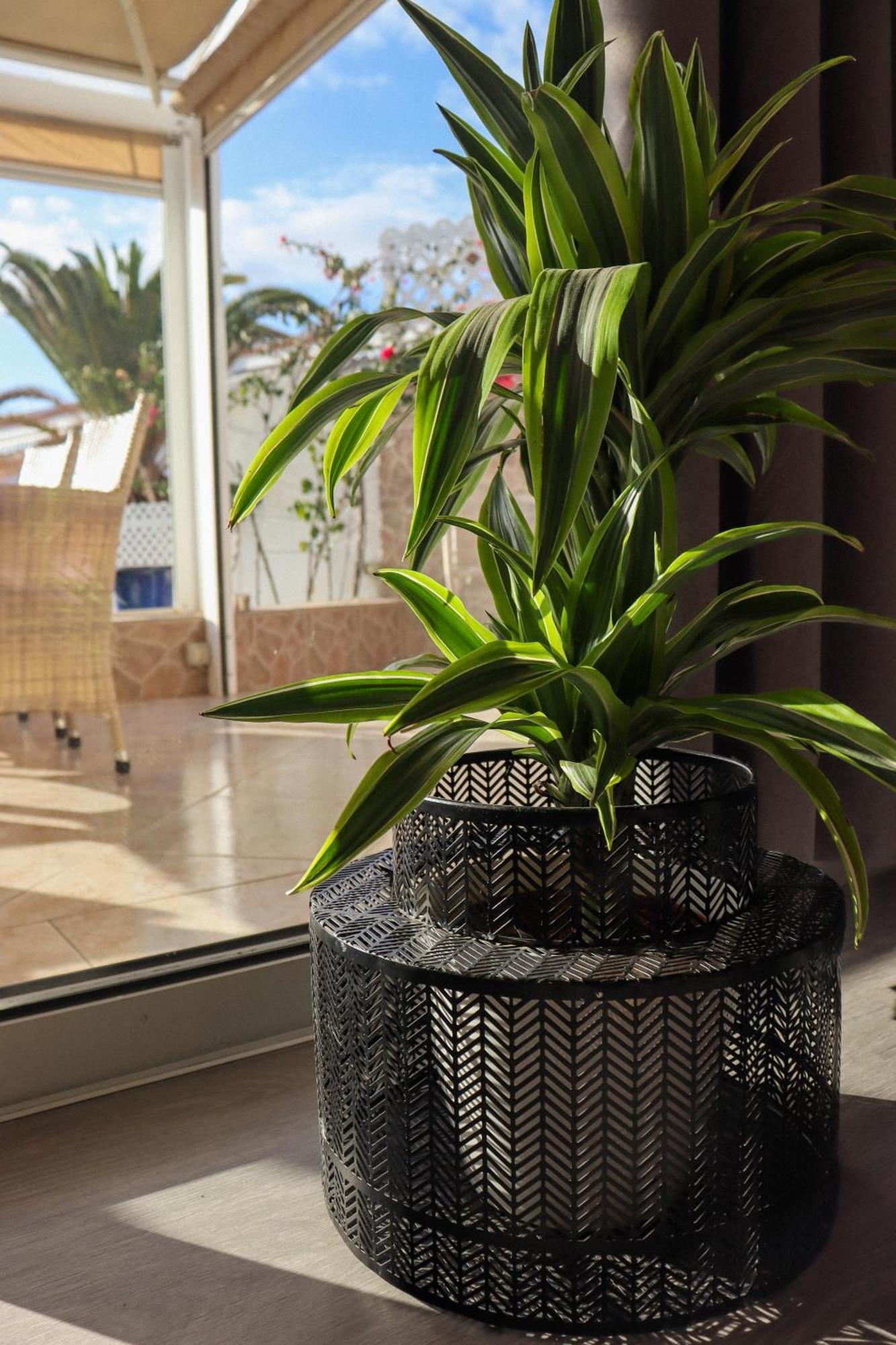 -tenerife Holiday home *