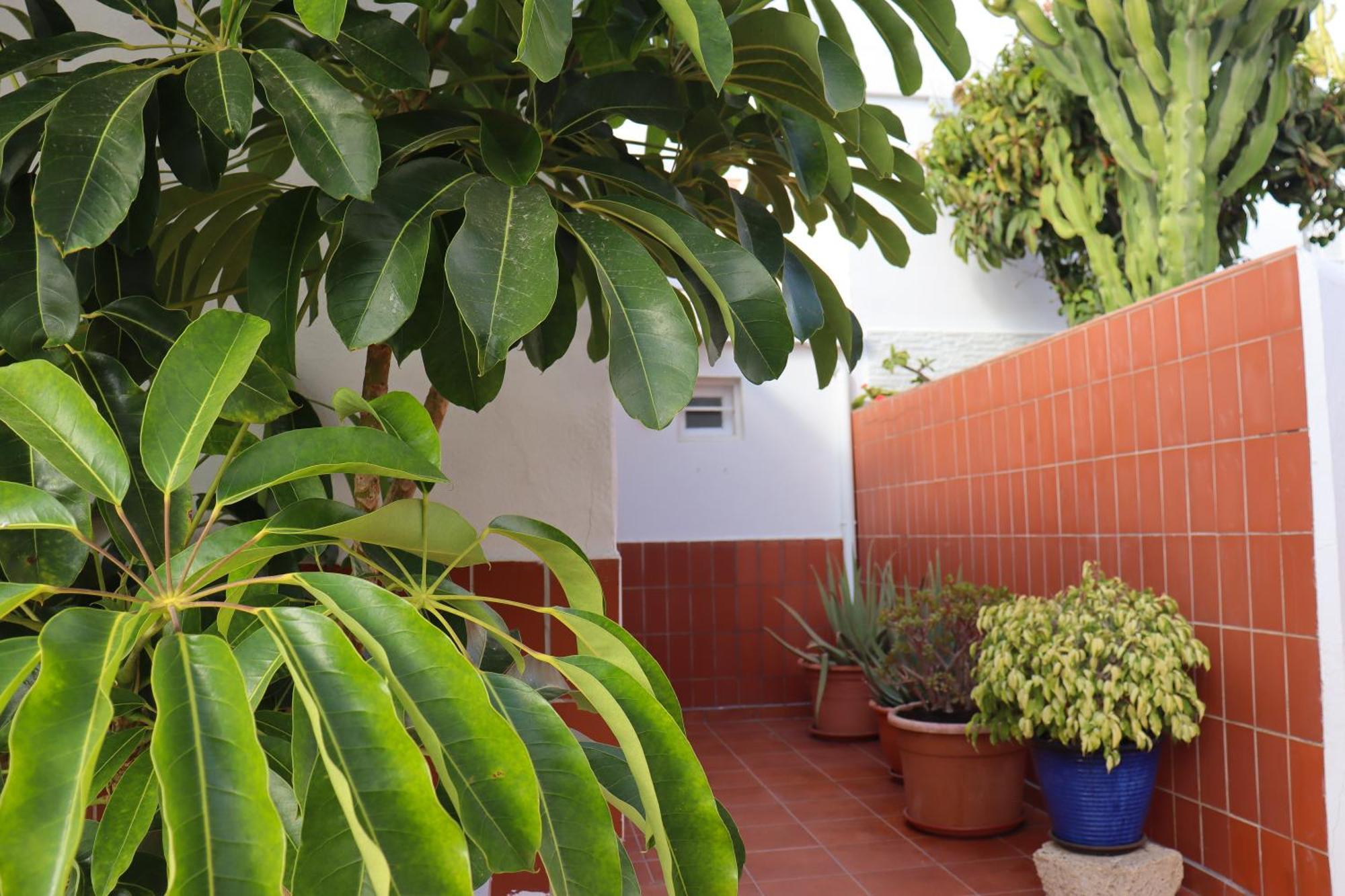 -tenerife Holiday home *