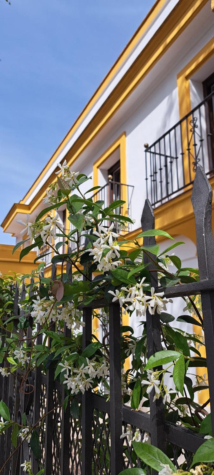 Marcel Apartamento *