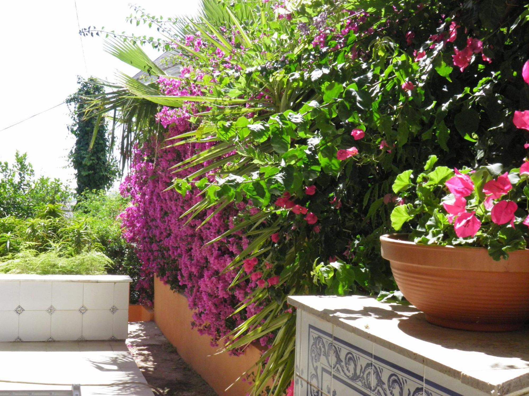 Casa La Torreta Apartamento Corbera de Alcira