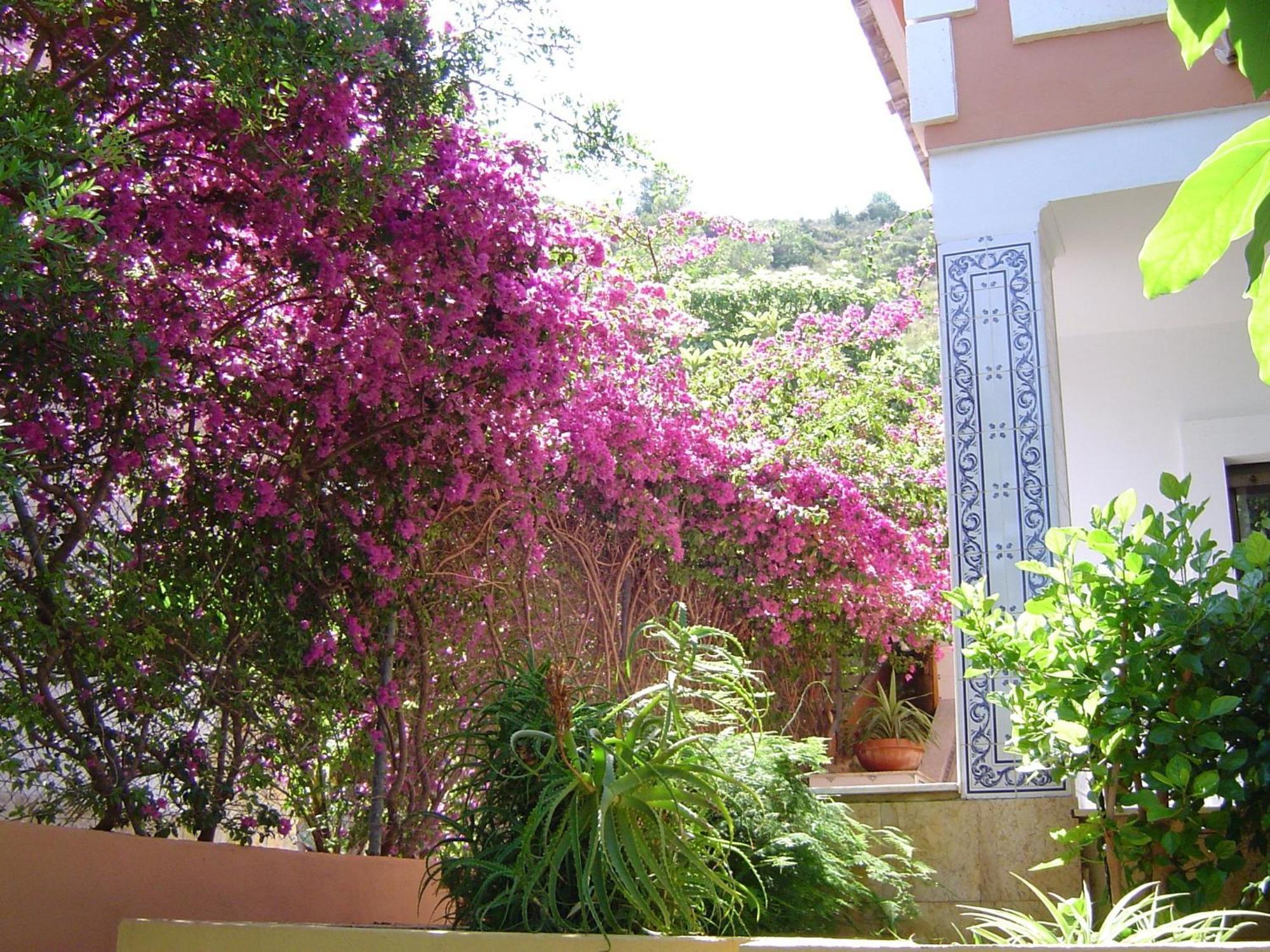 Casa La Torreta Corbera de Alcira